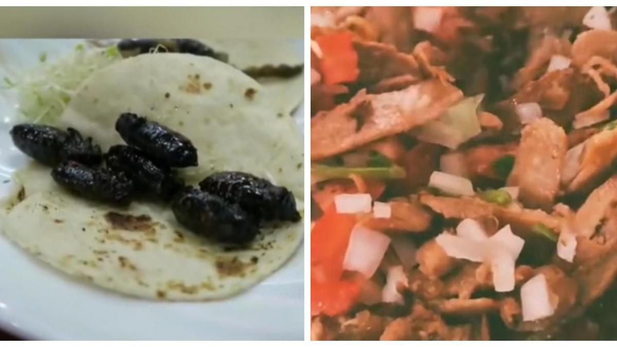 Tacos de ¿cucarachas? Conoce esta extravagante versión del típico platillo