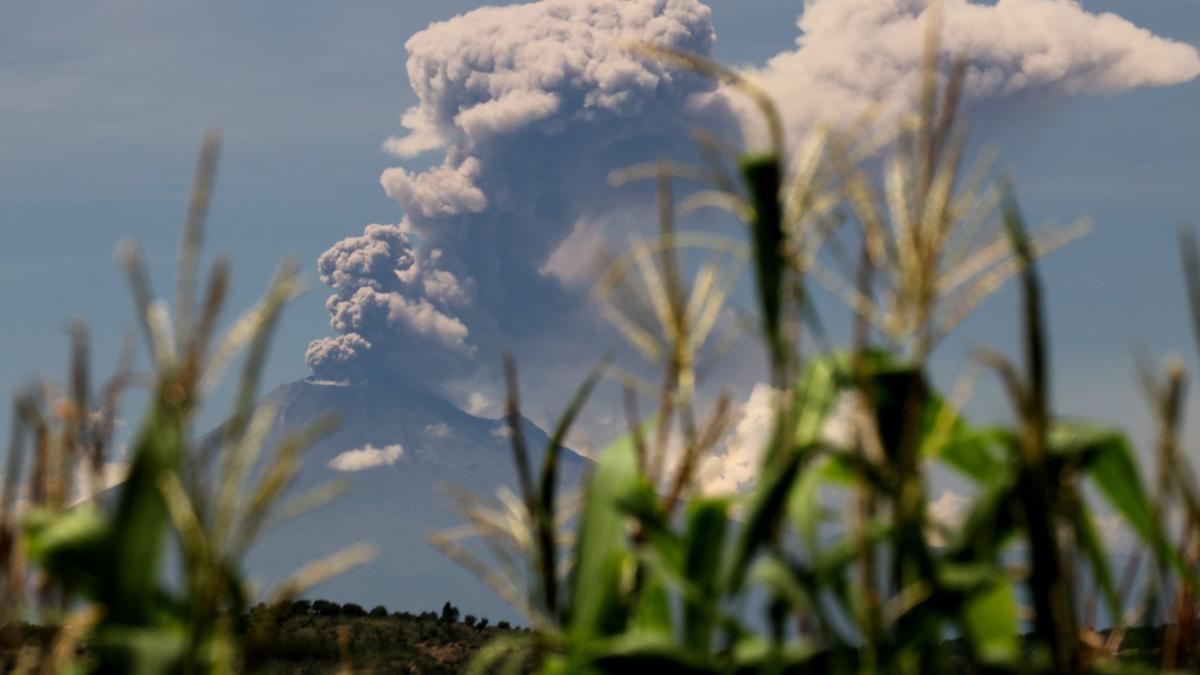 Popocatépetl. Actividad de ‘Don Goyo’ sigue a la baja; alistan más estudios para confirmar menor riesgo