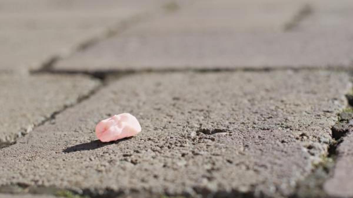 Día Mundial del Medio Ambiente. ¿Por qué los chicles son malos para el planeta?