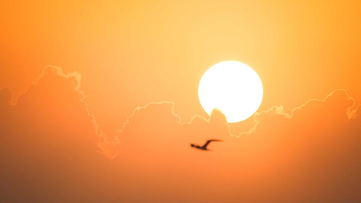 Pega duro 3a ola de calor: prevén hasta 45 grados