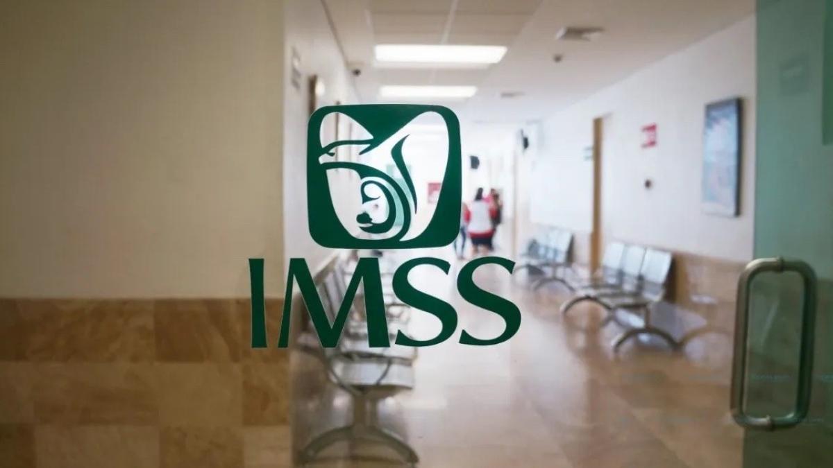 ¿Qué es y cómo tramitar la pensión por invalidez del IMSS?