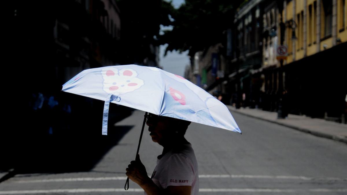 Clima CDMX. Sigue el calor intenso; este día la temperatura alcanzará los 33°C