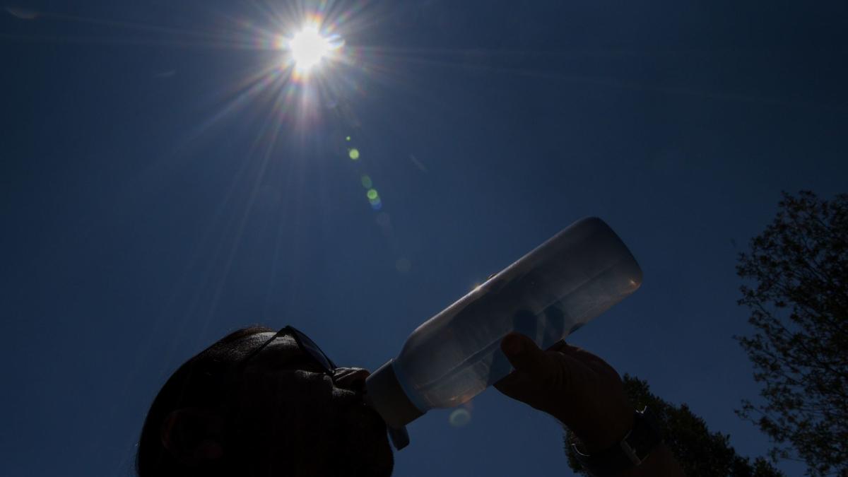 Clima hoy. Calor y alta radiación otra vez en CDMX; más de 40°C en 20 estados