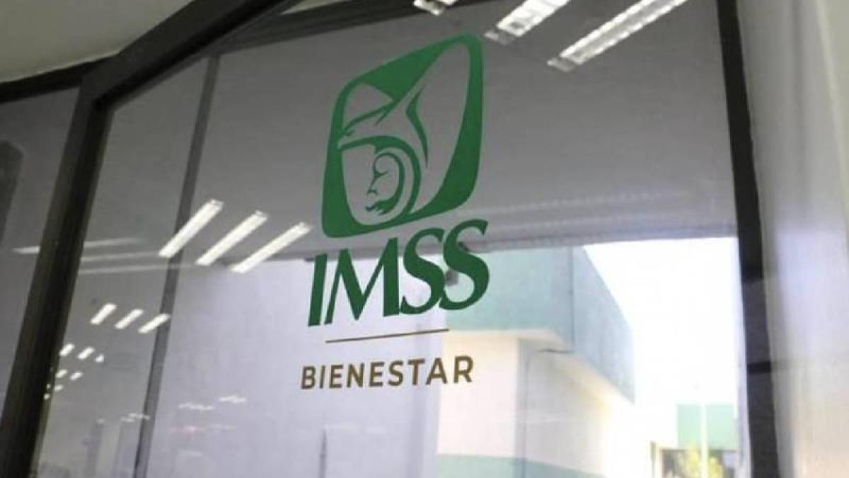 Secretaría de Salud debe dar a conocer estrategia para transferir recursos del Insabi al IMSS-Bienestar: Inai