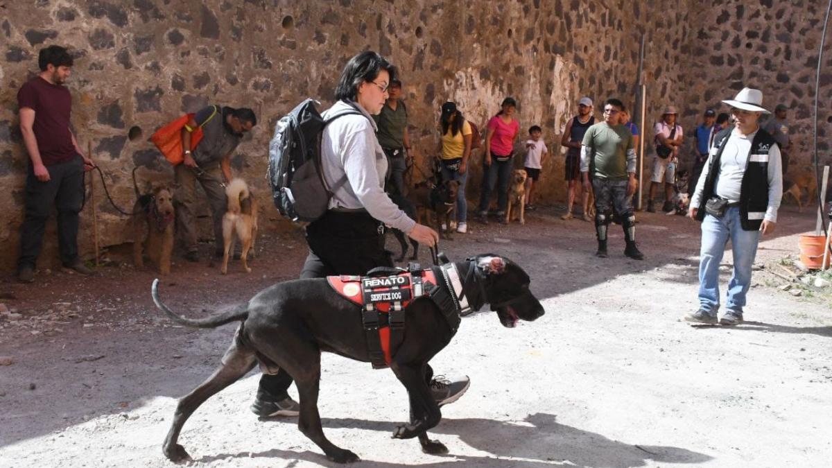 En Tlalpan, arranca Segundo Taller de Rescate para Perros