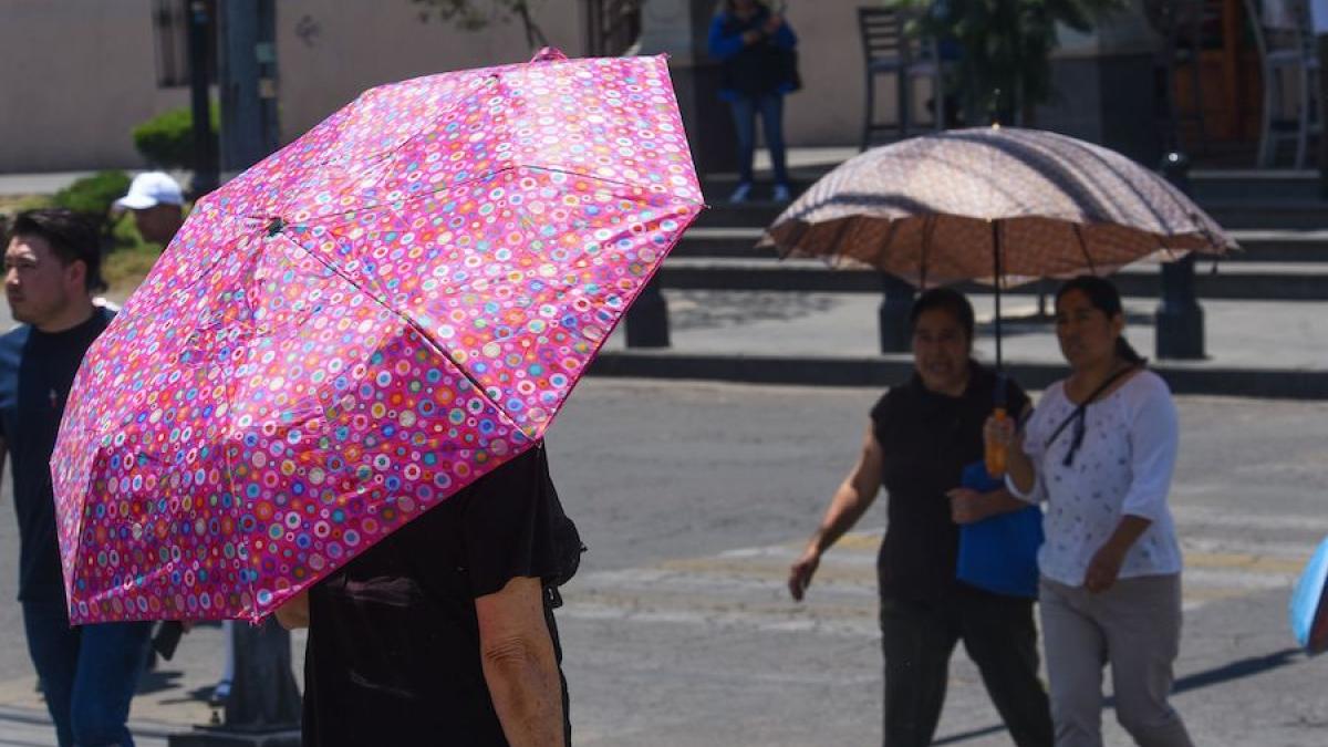 Presentan acciones para hacer frente a ola de calor en la CDMX