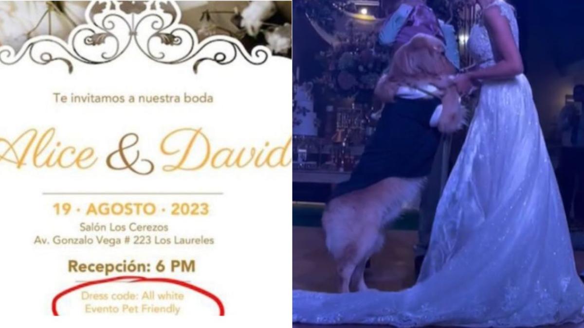 Invitación de boda se vuelve viral por ser 'pet friendly', pero no acepta niños