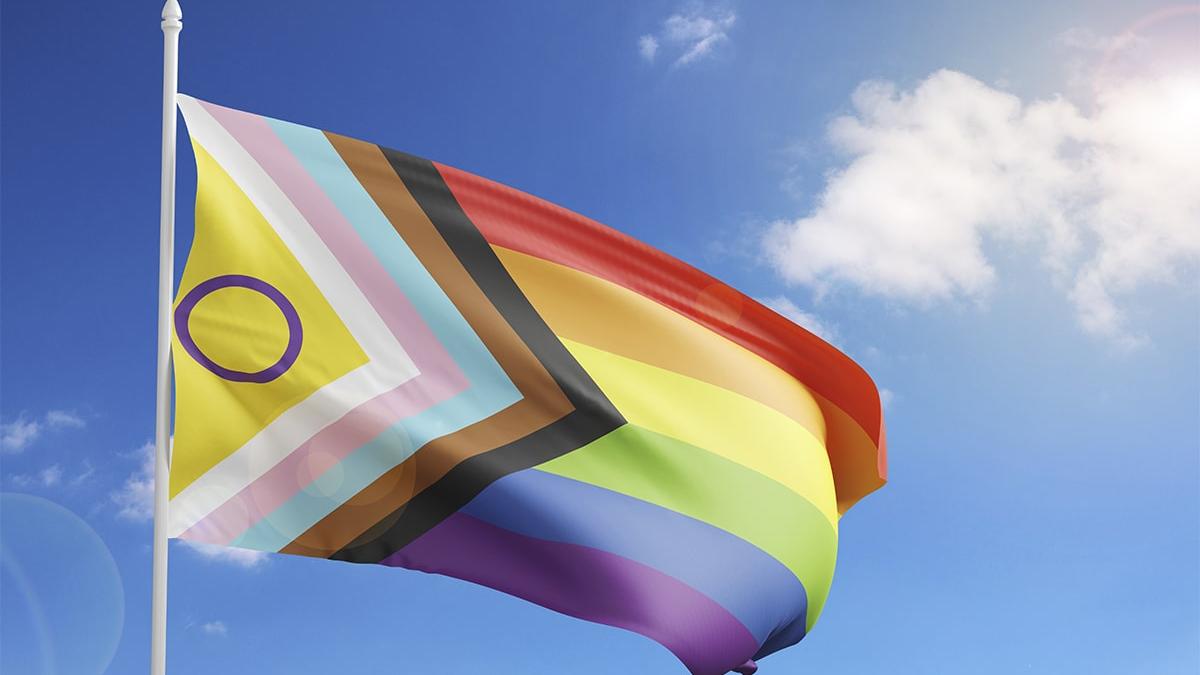 ¿Cuáles son las banderas de la comunidad LGBT+ y qué significan?