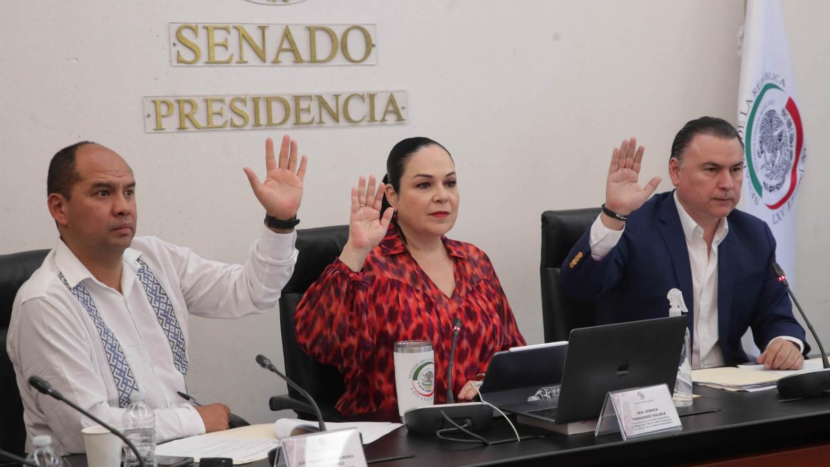 Morena y sus aliados frenan periodo extraordinario para nombrar comisionado del Inai