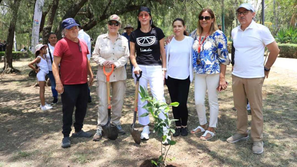 Se plantarán 3 mil árboles en la alcaldía Álvaro Obregón: Lía Limón