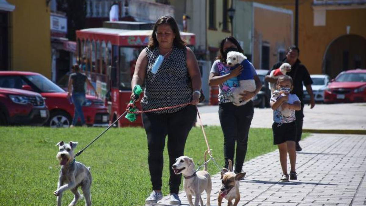 ¡Tómalo en cuenta! Tlalpan invita a la primera edición del Animal Fest