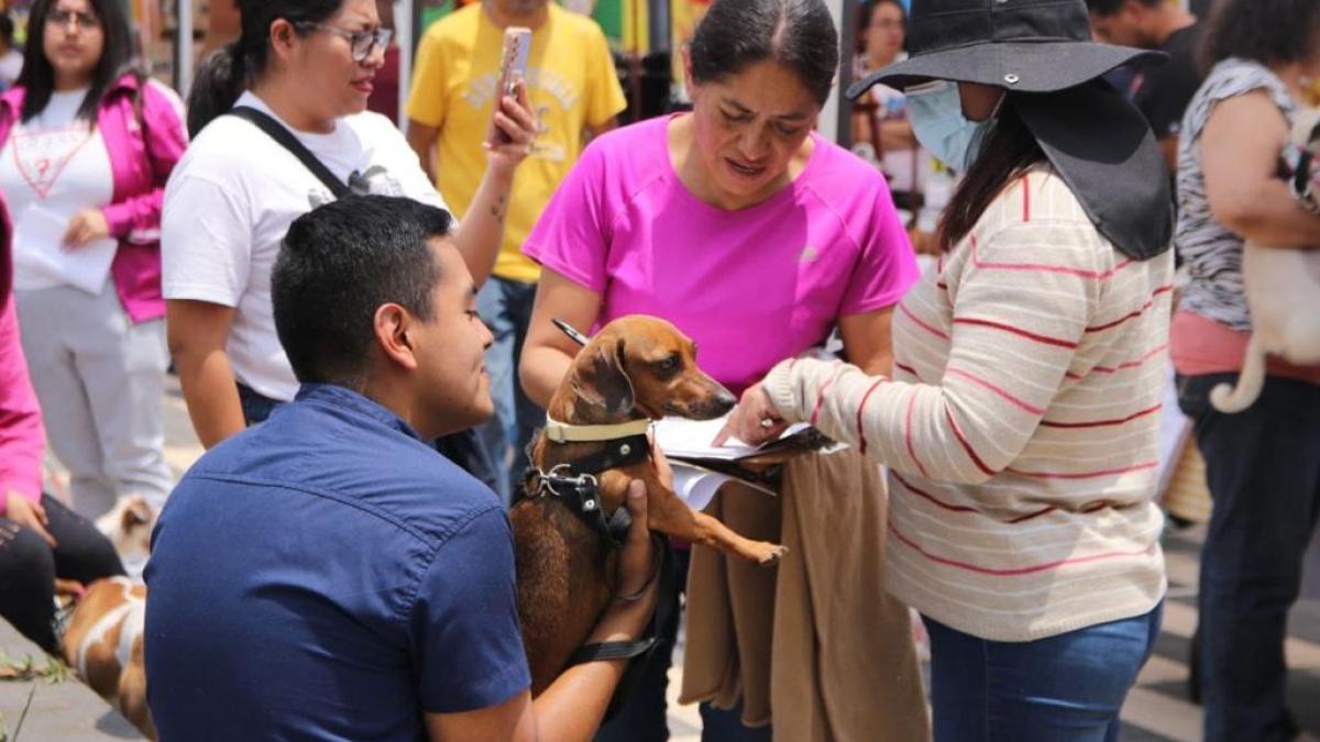 Con éxito la alcaldía Tlalpan realiza primer día del Animal Fest