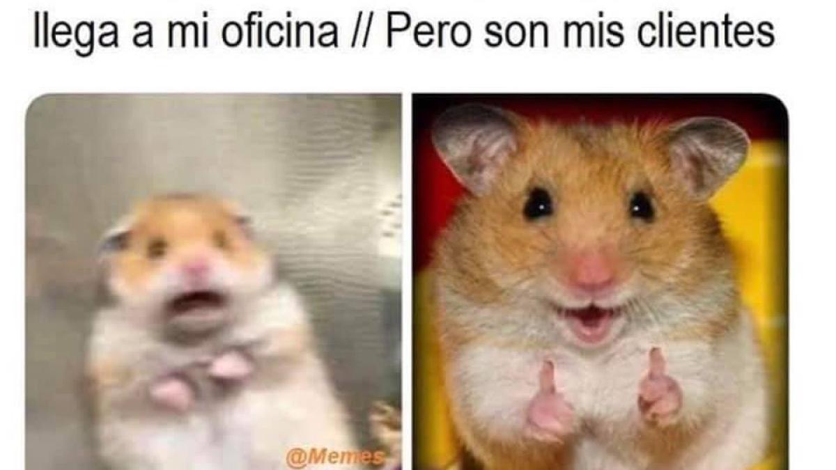 'Mijo, usté que es abogado, quíteme esta pena que me embarga': Los mejores MEMES por el Día del Abogado