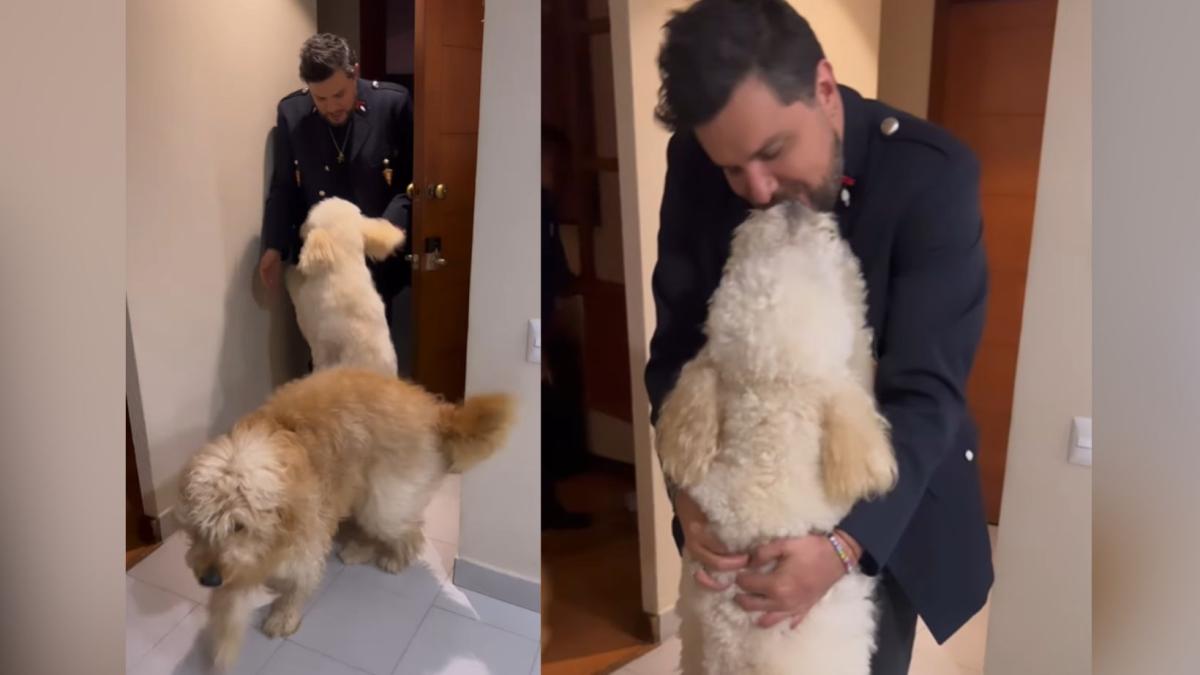 (VIDEO) La Casa de los Famosos: Así reciben a Paul Stanley sus perritos