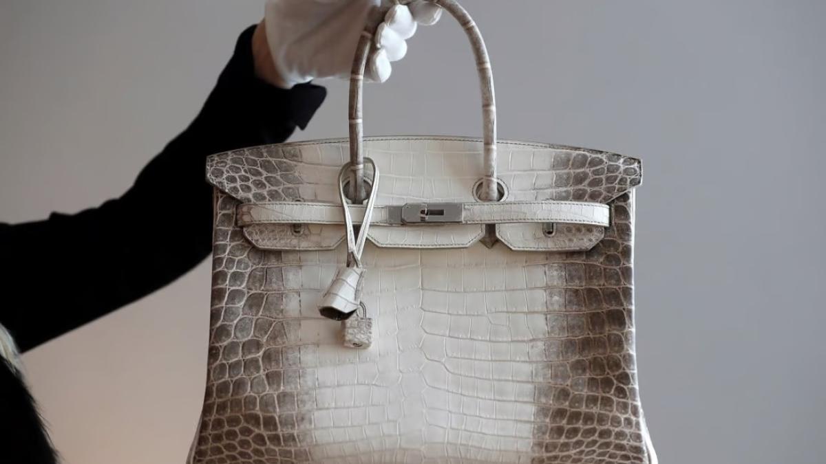 VIDEO: Louis Vuitton vende bolso para heces de mascotas a 17 mil