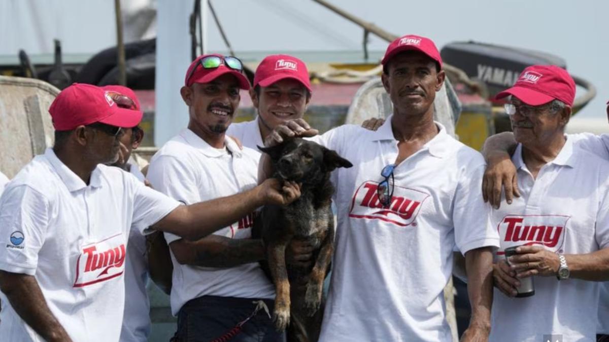 Bella, la hermosa perrita que sobrevivió al naufragio junto con Timothy Shaddock