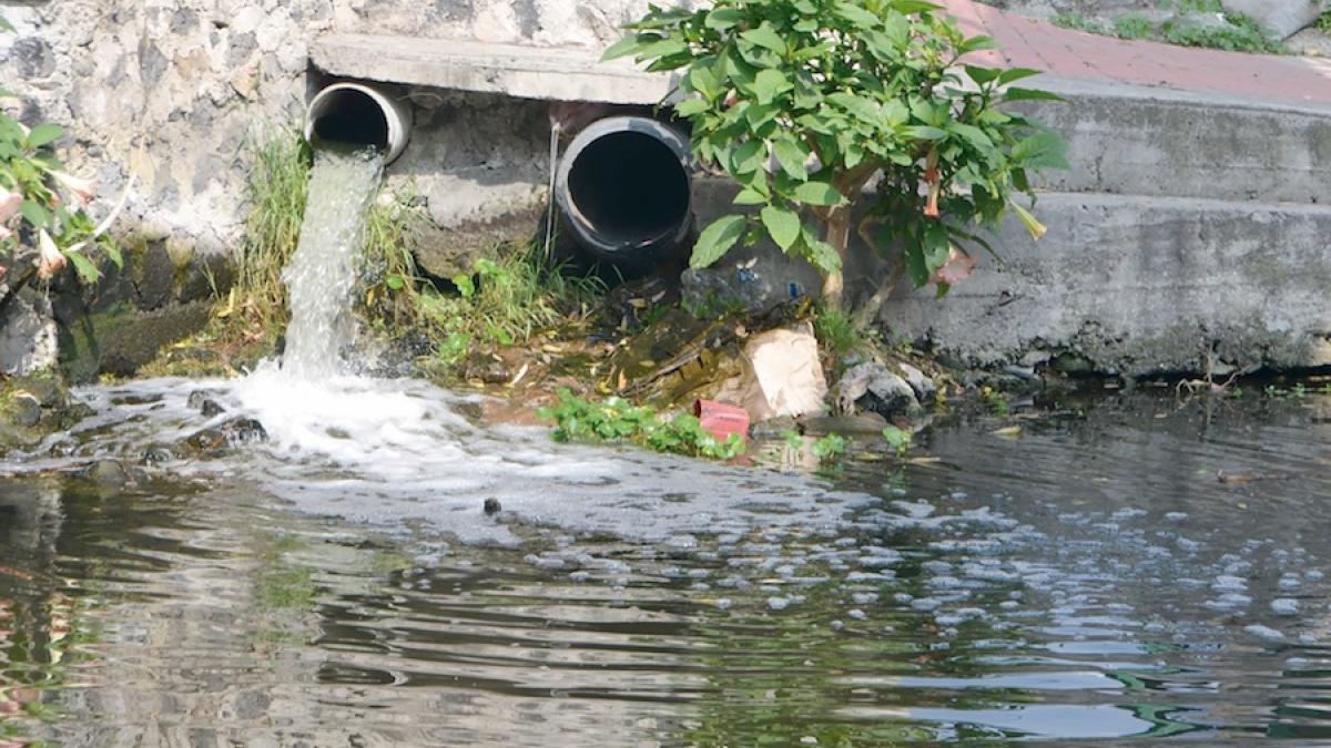 Alertan por “estado crítico” de canales de Xochimilco