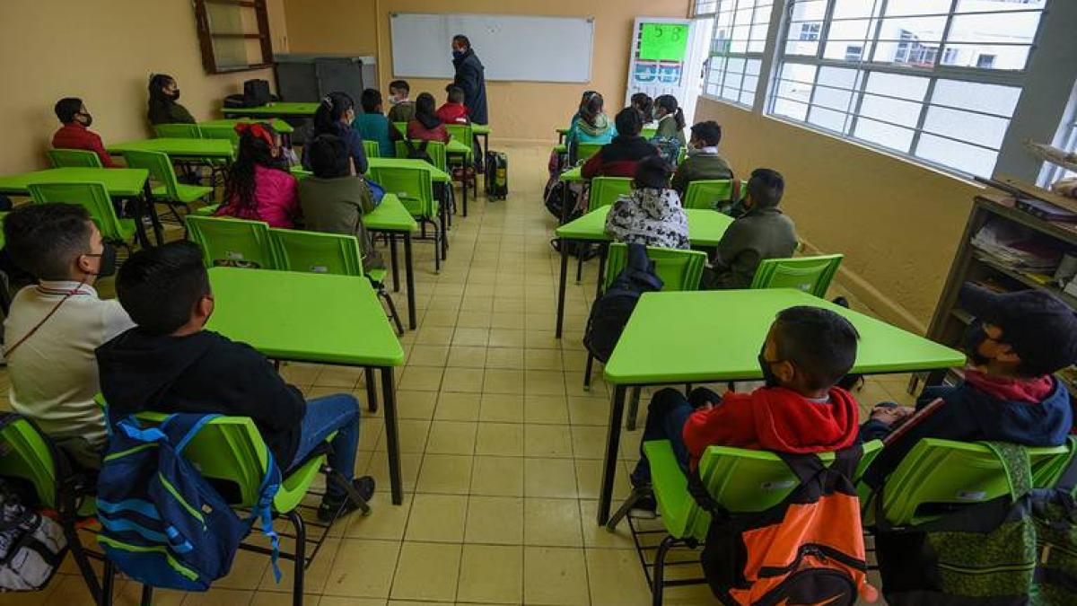 SEP anuncia que habrá quienes regresarán a las aulas una semana antes de iniciar el ciclo escolar 2023-2024