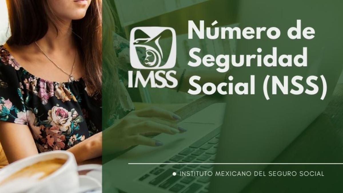 ¿Qué hago si no recuerdo mi Número de Seguridad Social del IMSS?