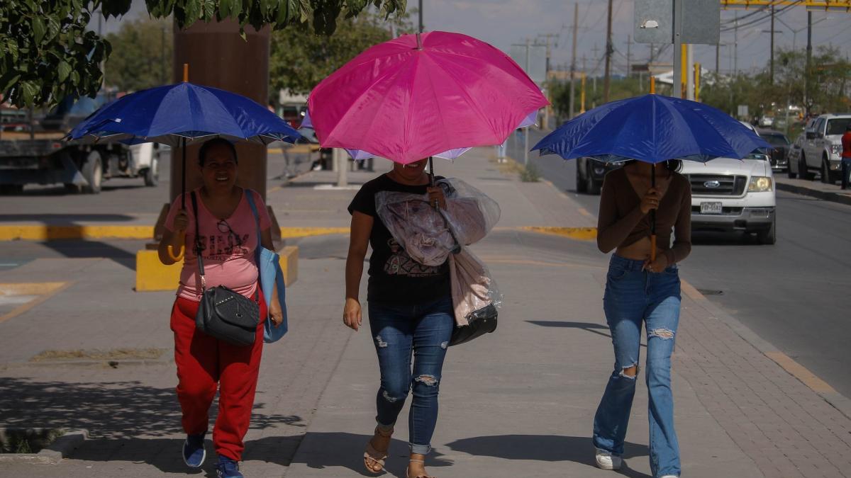 ¿Harto del frío? Este día llega la ola de calor a México en 2024