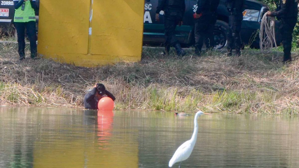 Piden ir contra alcalde de Xochimilco por inseguridad