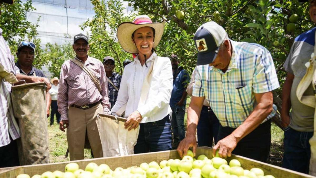 Claudia Sheinbaum niega ser la favorita de AMLO en proceso de sucesión