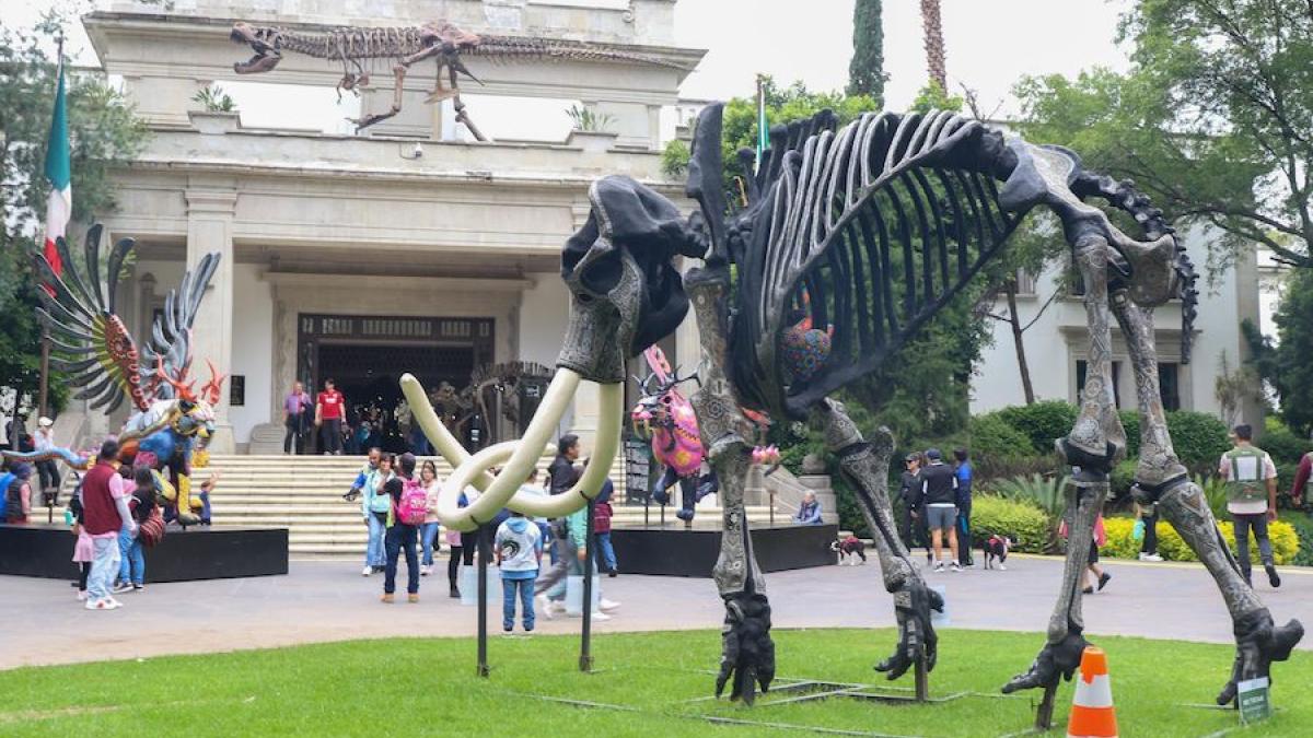 Dinosaurios en Los Pinos, la sensación de este verano