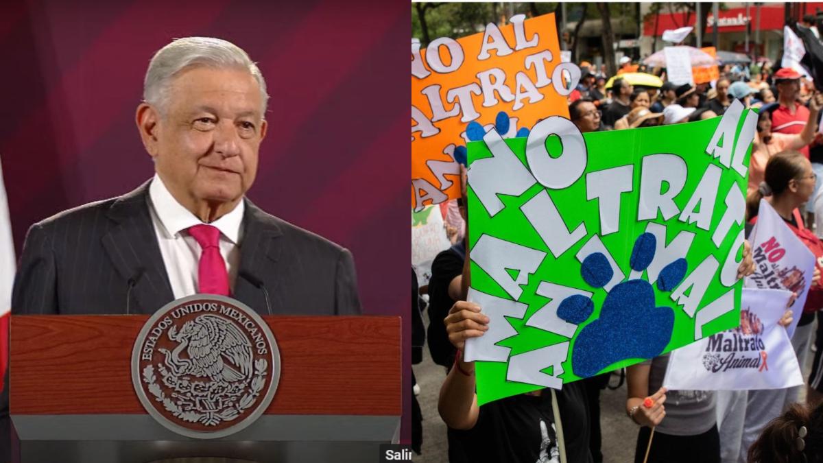 AMLO envía iniciativa para establecer el día del trato justo y humano a los animales