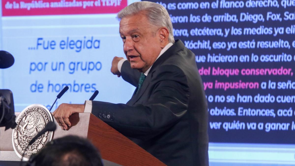 AMLO acusa a INE y TEPJF de 'reverendos falsarios' por culparlo de violencia política contra Xóchitl Gálvez