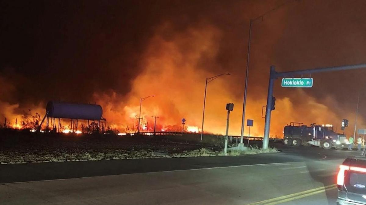 Gobierno de México brinda ayuda a connacionales afectados por incendios en Hawái