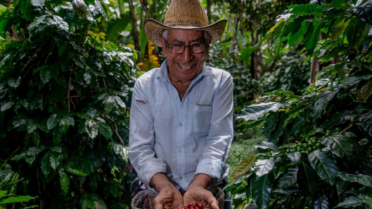 Registra balanza agroalimentaria superávit de cinco mil 311 millones de dólares en primer semestre