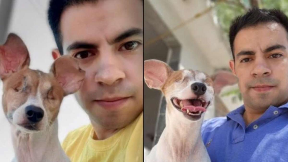 Hombre rescata a perrito sin ojos que fue abandonado; usuarios de TikTok reconocen la acción