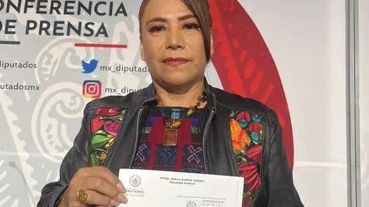 Diputada de Morena pide frenar distribución de libros de texto