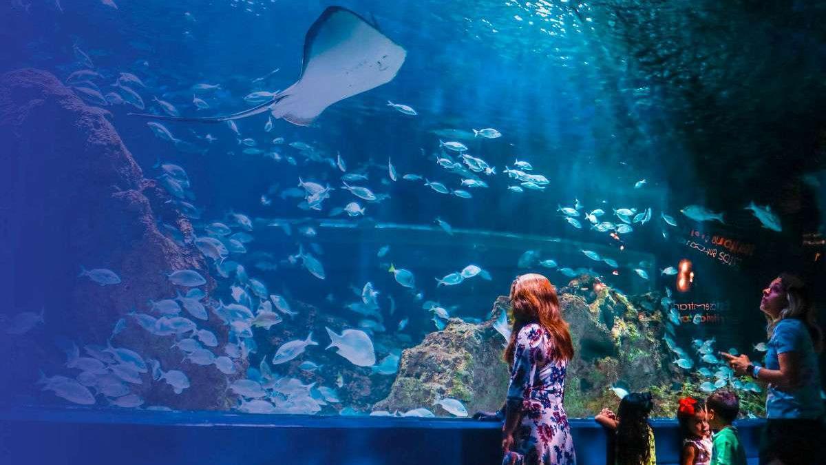 ¿Cuál es la estación del Metro y Metrobús más cercana al Acuario Parque Tepeyac, el más grande de México?