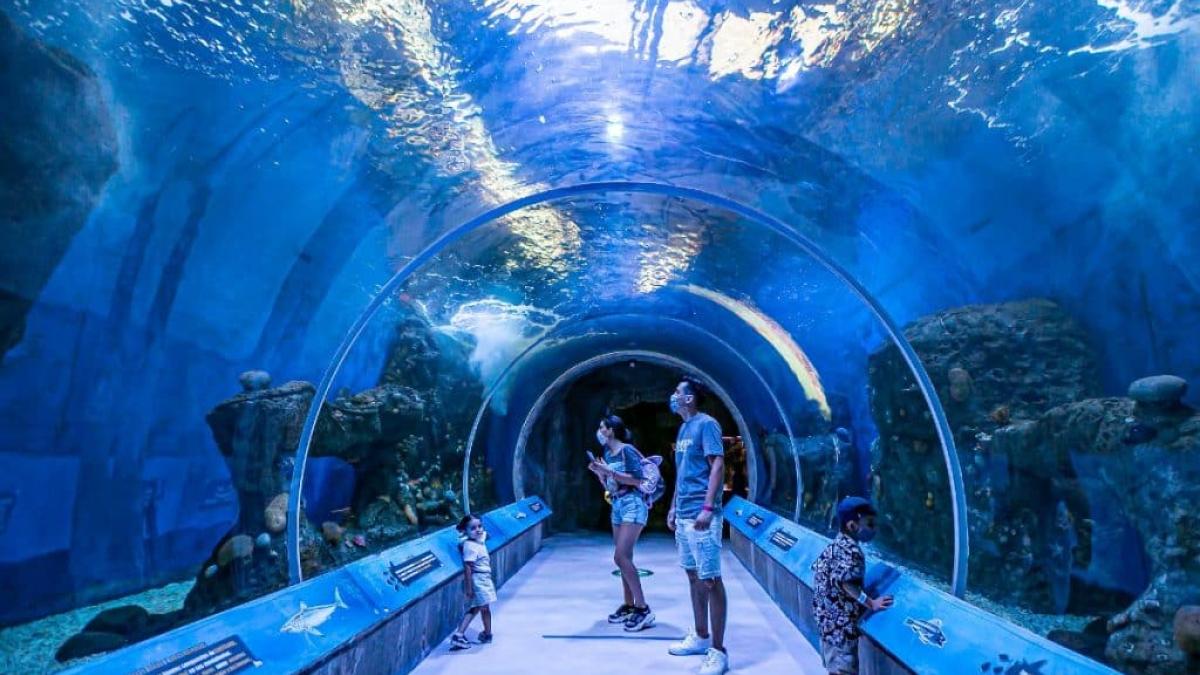 ¿Cómo llegar al Acuario Parque Tepeyac, el más grande de todo México y América Latina?