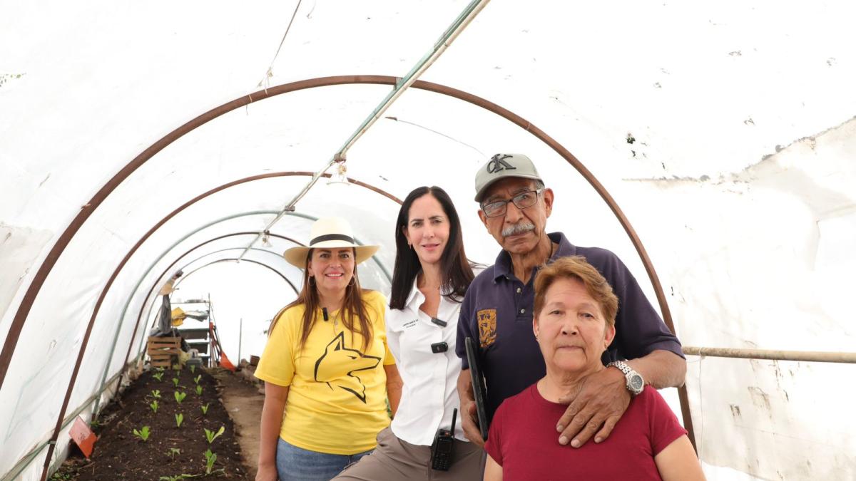 Con los huertos comunitarios e invernaderos de la Alcaldía, se favorece la economía de grupos vulnerables: Lía Limón