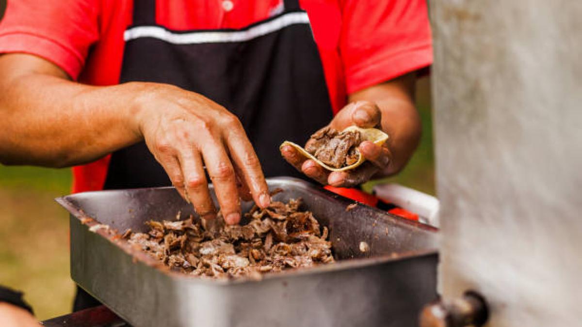 ¿Cómo puedo saber si estoy comiendo carne de perro?