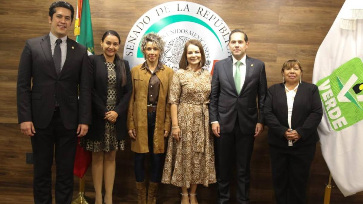 Expriista Nuvia Mayorga se incorpora al Partido Verde en el Senado