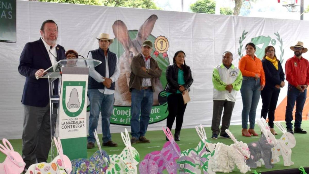 Se inaugura el 8º Campeonato del Conejo Gigante de Flandes en Magdalena Contreras