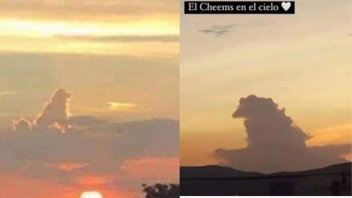 FOTOS. ¡No nos ha olvidado! Nube de perrito Cheems aparece en el cielo