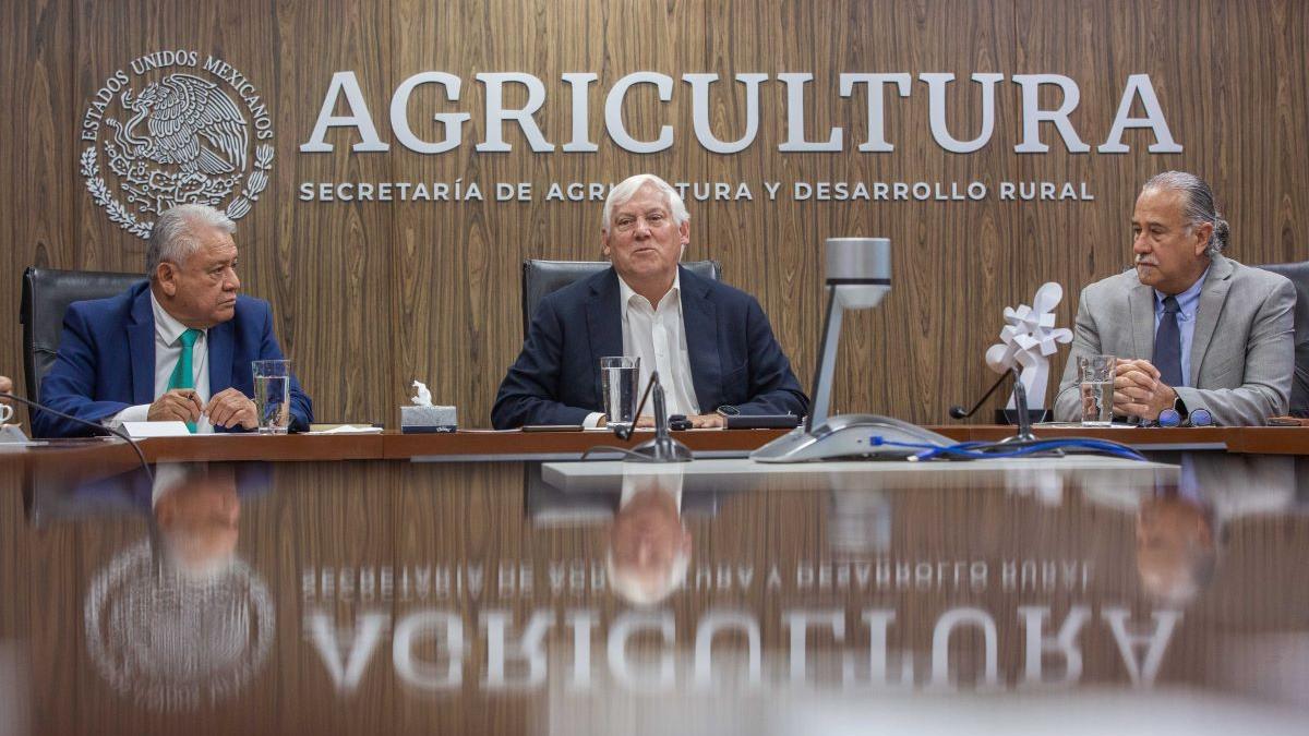 Agricultura anuncia iniciativa para obtener la declaración de indicación geográfica 'Pulpo Maya de la península de Yucatán'