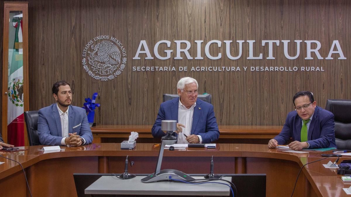 Agricultura pone en marcha plan agronómico integral para proteger la producción nacional de cítricos