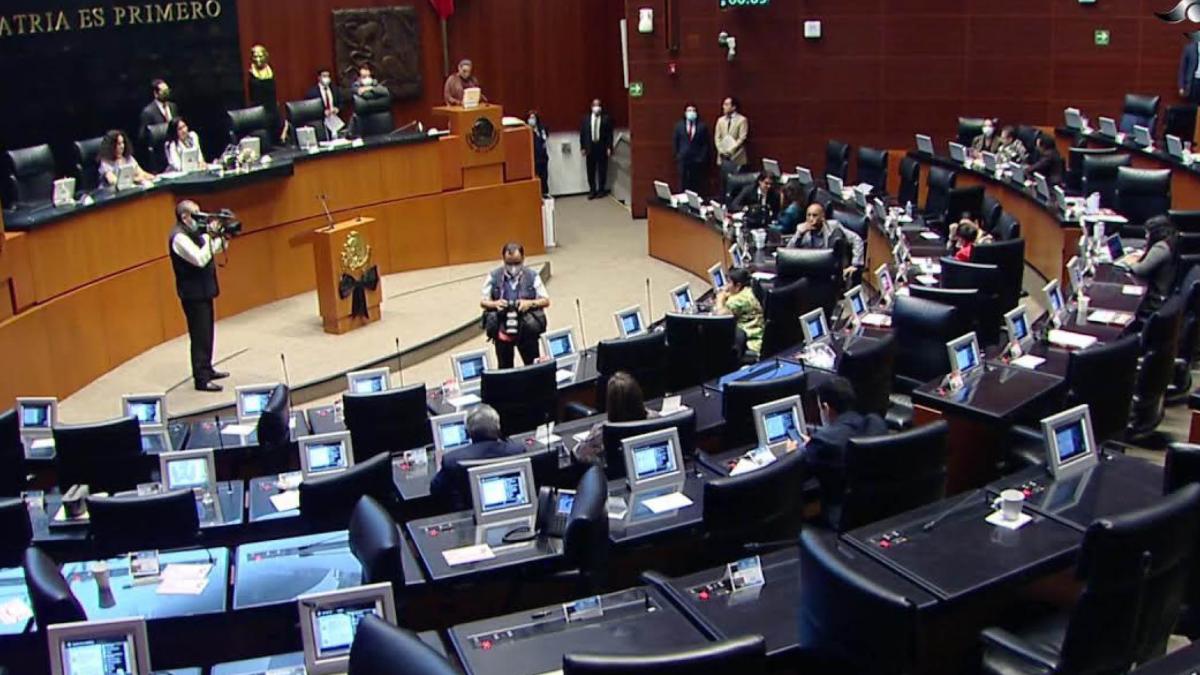 Se amarran a su escaño 85 senadores; 66% va por la reelección