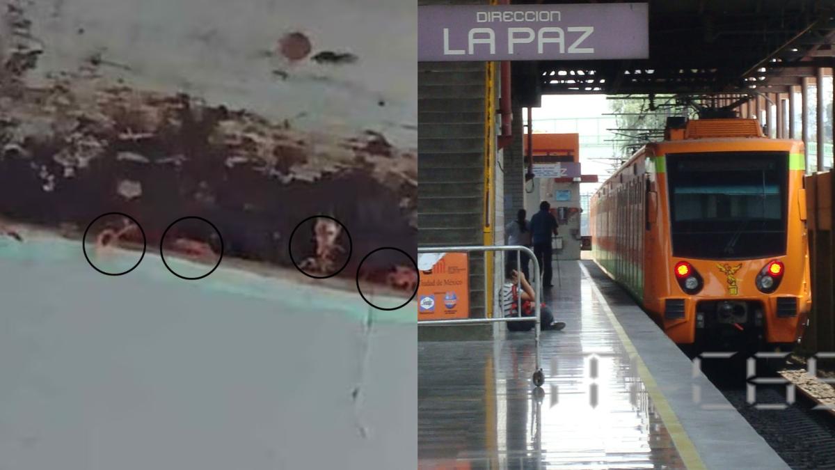 Chinches invaden el Metro CDMX: Pasajero denuncia plaga en Línea A