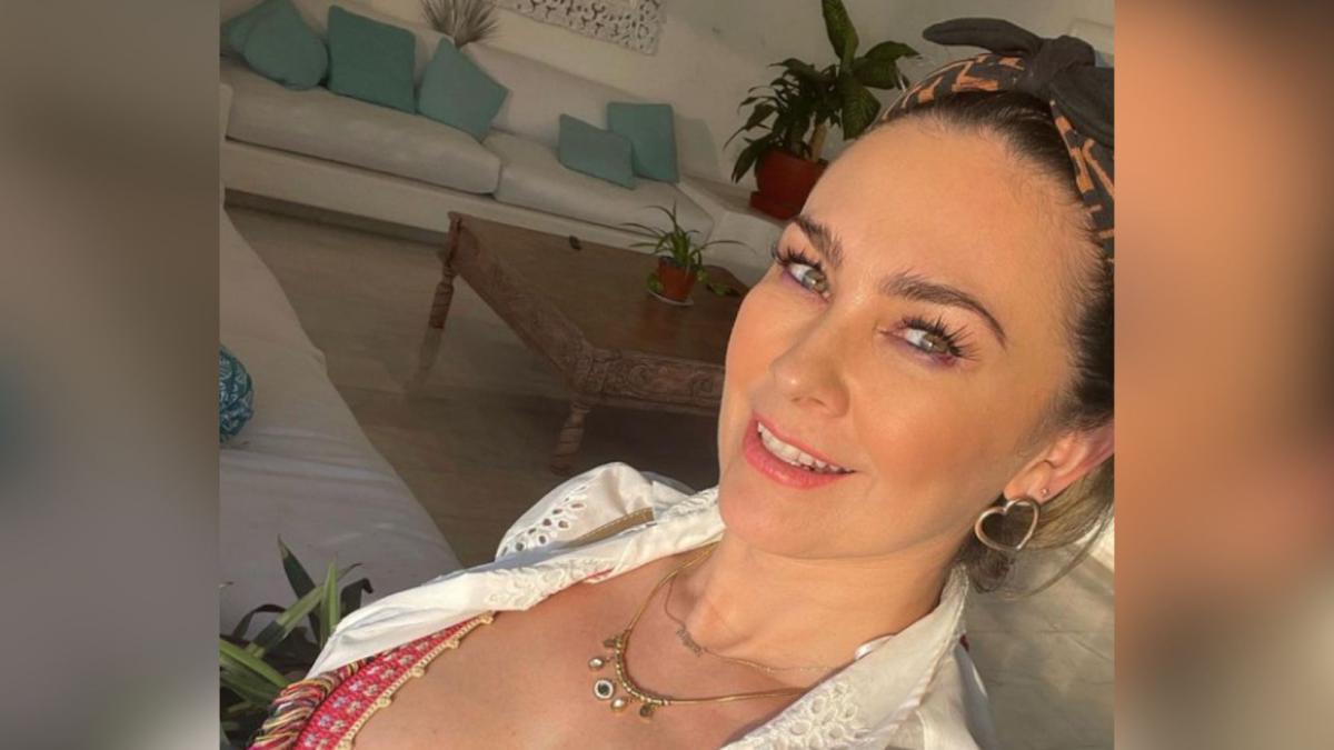 Critican a Aracely Arámbula por decir que Luis Miguel es mal padre: 'una ex toxica'