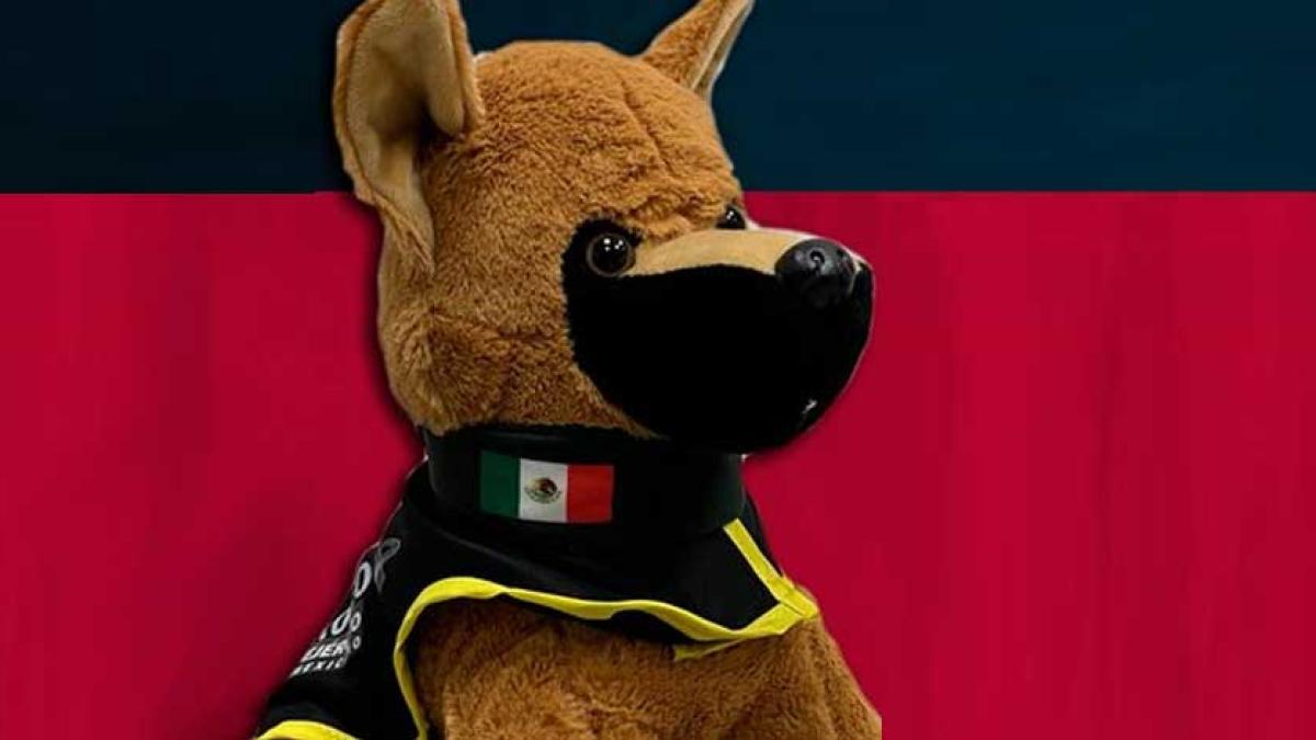 Peluche de Proteo: Así te puedes ganar una tierna figura del leal y valiente héroe canino