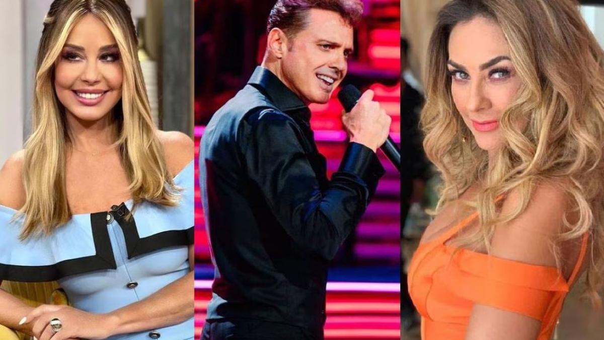 Myrka Dellanos defiende a Luis Miguel de Aracely Arámbula y la critican: 'es padre ausente como el tuyo'