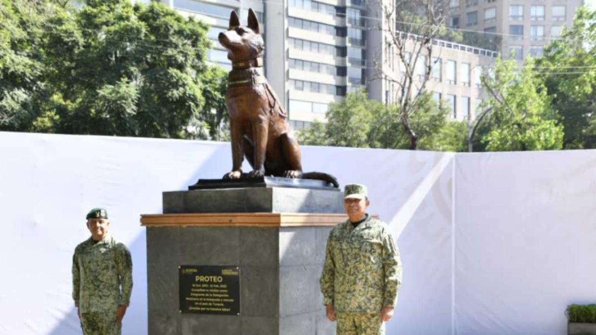 Develan estatua de Proteo, perrito rescatista que falleció ayudando en Turquía