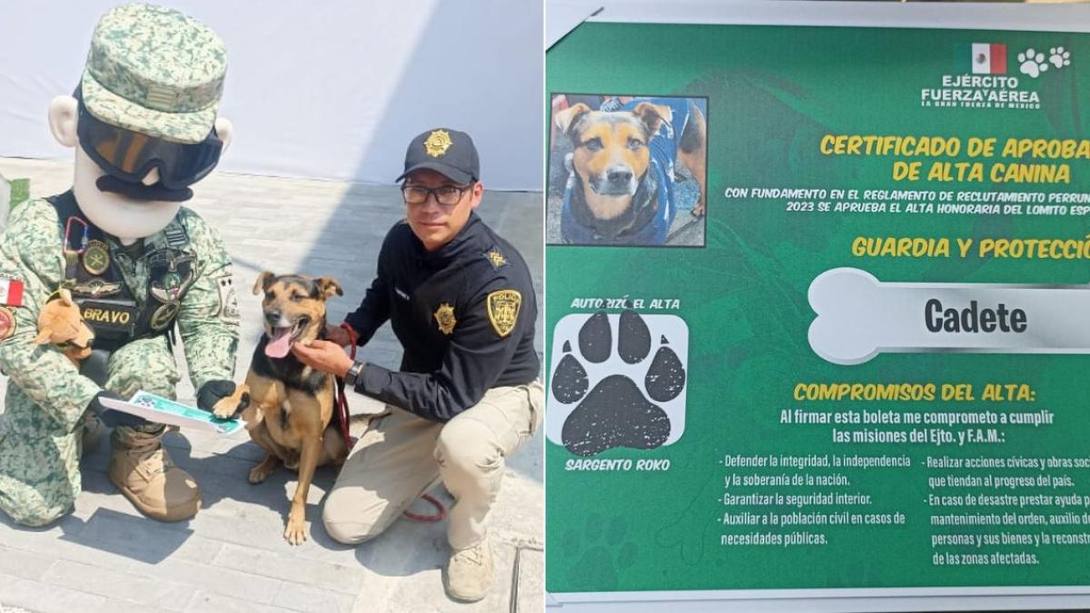 Cadete, perrito que se coló en el Desfile Militar ya es parte del Ejército; recibe nombramiento