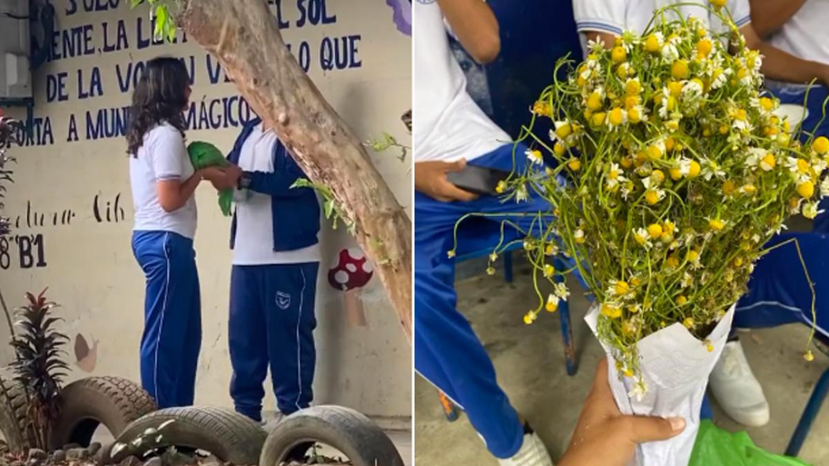 ¡Qué detallazo! Joven recibe ramo de manzanilla en lugar de flores amarillas